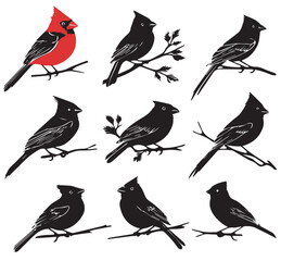 silhouettes of birds,bird, silhouette, animal, nature, illustration, vector, birds, crow, black, isolated, beak, bullfinch, branch, wildlife, white, wing, raven, feather, winter, cartoon, art, fly, tr
