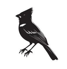 Obraz premium silhouettes of birds,bird, silhouette, animal, nature, illustration, vector, birds, crow, black, isolated, beak, bullfinch, branch, wildlife, white, wing, raven, feather, winter, cartoon, art, fly, tr