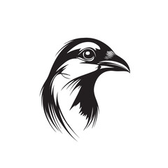 Flying Birds Silhouettes, Flying Birds Clip Arts, Flying Birds, Flying Birds Printable, Bird Silhouette