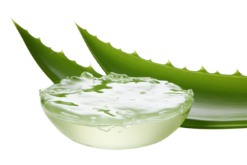 Isolated aloe vera gel extracted from a leaf, showcased on a white background