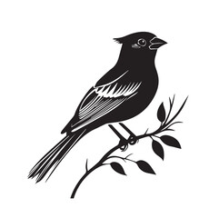 silhouettes of birds,bird, silhouette, animal, nature, illustration, vector, birds, crow, black, isolated, beak, bullfinch, branch, wildlife, white, wing, raven, feather, winter, cartoon, art, fly, tr