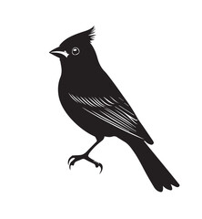 silhouettes of birds,bird, silhouette, animal, nature, illustration, vector, birds, crow, black, isolated, beak, bullfinch, branch, wildlife, white, wing, raven, feather, winter, cartoon, art, fly, tr