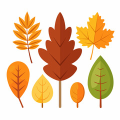 Naklejka premium A collection of colorful autumn leaves in various shapes and sizes, perfect for adding a touch of fall to your designs. This vector illustration features leaves, oak leaves.