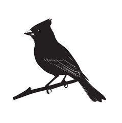 silhouettes of birds,bird, silhouette, animal, nature, illustration, vector, birds, crow, black, isolated, beak, bullfinch, branch, wildlife, white, wing, raven, feather, winter, cartoon, art, fly, tr