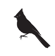 silhouettes of birds,bird, silhouette, animal, nature, illustration, vector, birds, crow, black, isolated, beak, bullfinch, branch, wildlife, white, wing, raven, feather, winter, cartoon, art, fly, tr