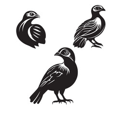 A set of Quail Black silhouette, vector style