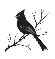 silhouettes of birds,bird, silhouette, animal, nature, illustration, vector, birds, crow, black, isolated, beak, bullfinch, branch, wildlife, white, wing, raven, feather, winter, cartoon, art, fly, tr
