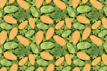 Bitter melon seamless pattern background. Cucumis melo vector.