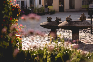 Rynek w Pszczynie Śląsk, jesienny poranek.  © Elżbieta Kaps