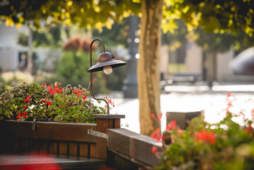 Rynek w Pszczynie Śląsk, jesienny poranek.  © Elżbieta Kaps