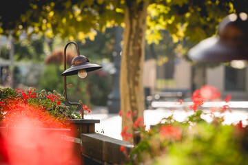 Rynek w Pszczynie Śląsk, jesienny poranek.  © Elżbieta Kaps