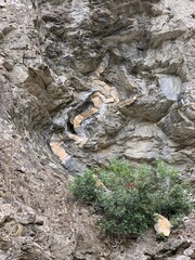Folded sedimentary rock formation with striking orange and grey layers on a rugged cliff face. Natural texture with lush greenery at the base. Ideal for nature, geology, and landscape themes