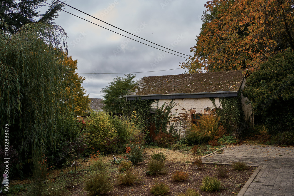 Wall mural landscapes of an autumnal european village, belgium, leaves colored by fall