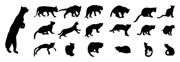 silhouette of a margay on a white vector set of silhouettes of animals