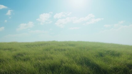 Obraz premium Natural scenery background of blue sky and grassland