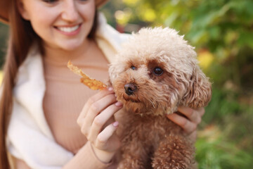 Smiling woman with cute dog and autumn leaf in park, closeup