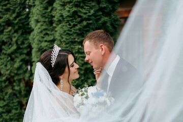 A bride and groom are standing in front of a bush, with the bride wearing a tiara