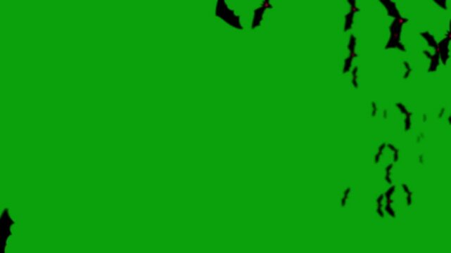 Spooky cartoon Bats fly on a green screen. Bats fly transition with key color. Halloween elements. Chroma key, green screen. Happy halloween. Flock of flying bats. 2d animation. 4k stock footage.