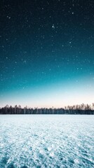 Fototapeta premium A serene winter landscape under a starry sky, showcasing tranquility and beauty.