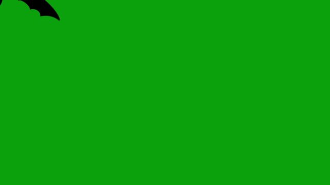 Spooky cartoon Bats fly on a green screen. Bats fly transition with key color. Halloween elements. Chroma key, green screen. Happy halloween. Flock of flying bats. 2d animation. 4k stock footage.