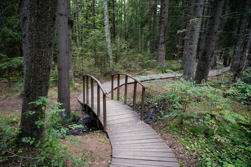 Curve pathway in national park, footbridge through dark coniferous spruce forest, natural trail through protected environment above view. Autumn season. Road made of wooden planks in woodland