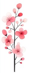 A beautiful illustration of pink cherry blossoms on a slender branch, perfect for spring-themed designs and floral decor.