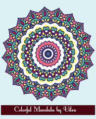 Vibrant Multi Color Mandala