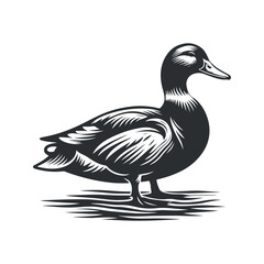 Cute duck silhouette illustration on white background