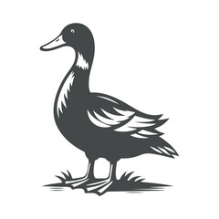 Cute duck silhouette illustration on white background
