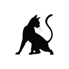  Cat silhouette vector illustration