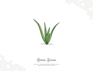 Aloe vera young vector art for wall decoration
