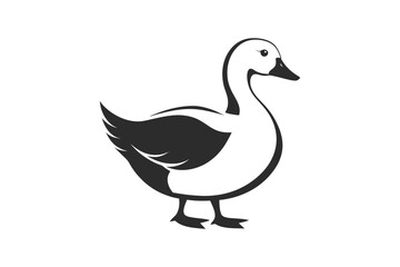  Vector illustration of a duck on a white background