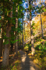 鹿教湯温泉　森林浴遊歩道