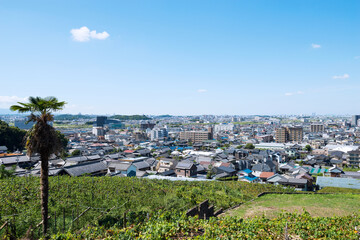 柏原市の街並み