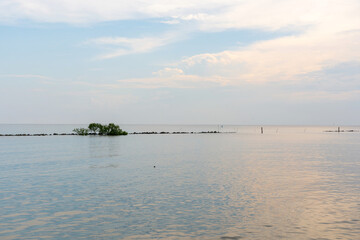 Natural photo of Viewpoint Public park Kalong beach, Samut Sakhon Thailand. Mangrove forest landscape estuary of the Gulf of Thai brackish sea water with a cloudy evening sky.