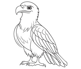 Illustration of an eagle, Hawk vector, Outline eagle vector