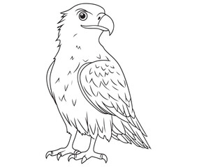 Illustration of an eagle, Hawk vector, Outline eagle vector
