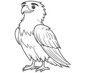 Illustration of an eagle, Hawk vector, Outline eagle vector