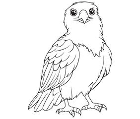 Illustration of an eagle, Hawk vector, Outline eagle vector