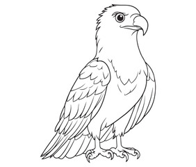 Illustration of an eagle, Hawk vector, Outline eagle vector