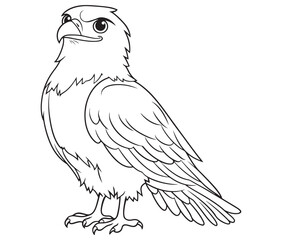 Illustration of an eagle, Hawk vector, Outline eagle vector