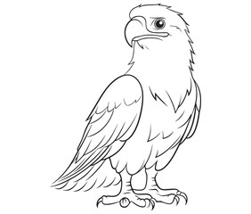 Illustration of an eagle, Hawk vector, Outline eagle vector