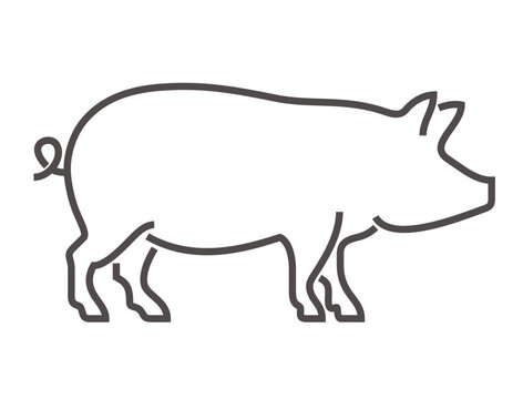 Pig icon in bold line - for pork products or butcher shop