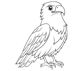 Illustration of an eagle, Hawk vector, Outline eagle vector