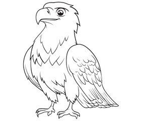 Illustration of an eagle, Hawk vector, Outline eagle vector