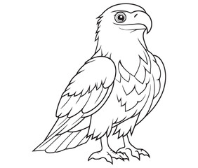 Illustration of an eagle, Hawk vector, Outline eagle vector