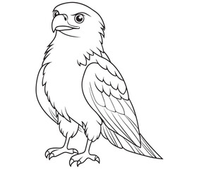 Illustration of an eagle, Hawk vector, Outline eagle vector