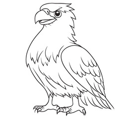Illustration of an eagle, Hawk vector, Outline eagle vector