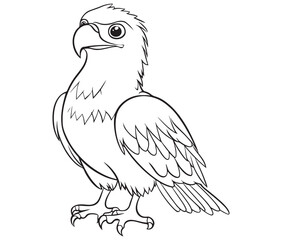 Illustration of an eagle, Hawk vector, Outline eagle vector