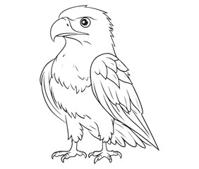 Illustration of an eagle, Hawk vector, Outline eagle vector